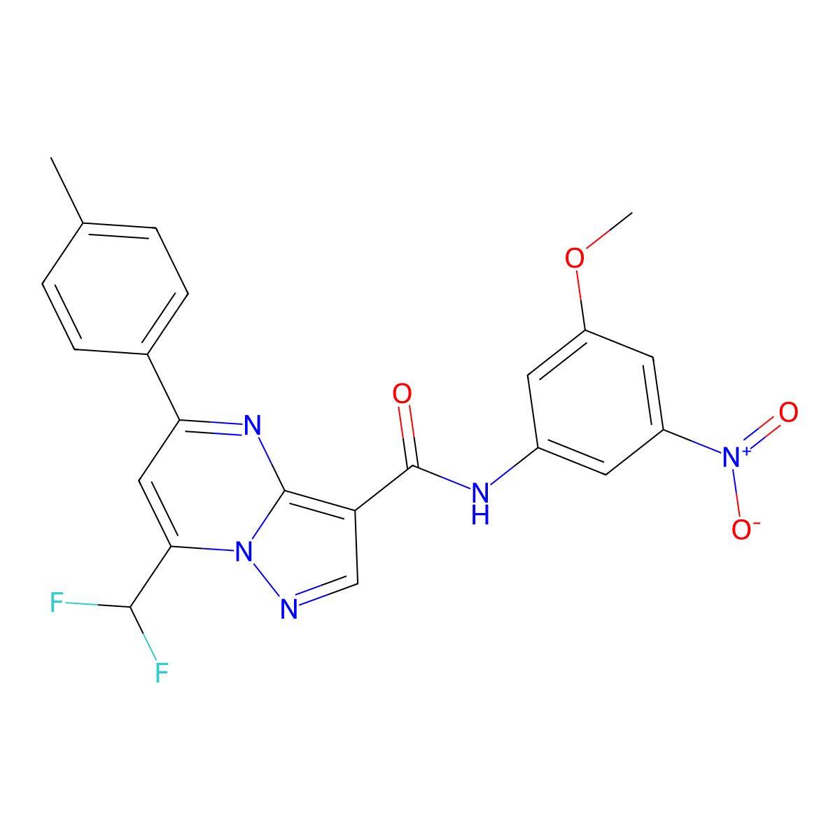 7-(difluoromethyl)-N-(3-methoxy-5-nitrophenyl)-5-(4-methylphenyl)pyrazolo[1,5-a]pyrimidine-3-carboxamide molecular structure, CAS 515858-21-6
