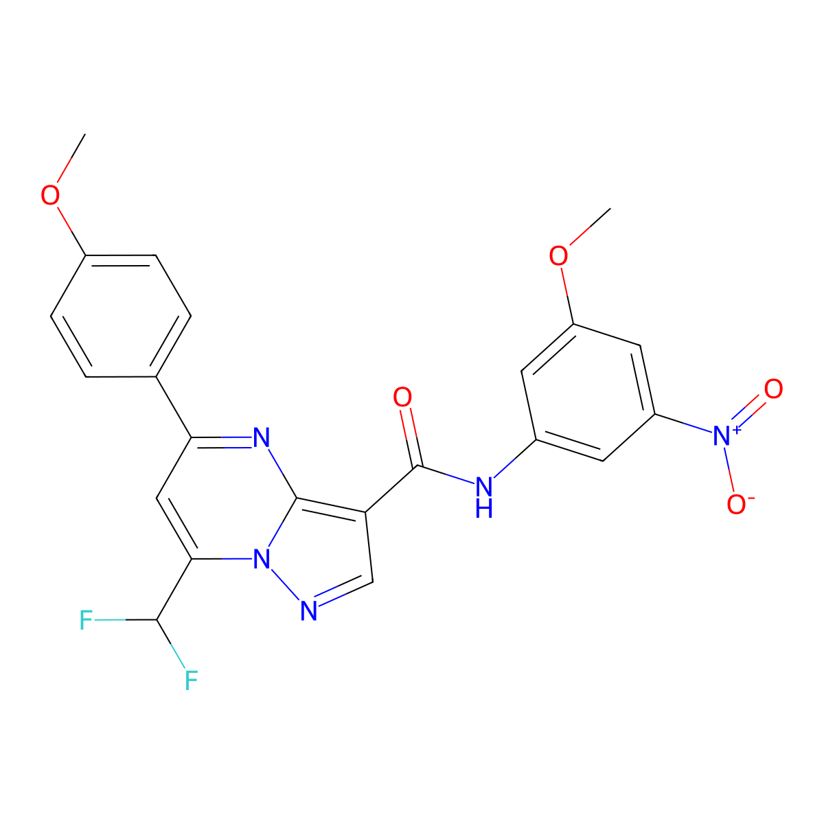 7-(difluoromethyl)-N-(3-methoxy-5-nitrophenyl)-5-(4-methoxyphenyl)pyrazolo[1,5-a]pyrimidine-3-carboxamide molecular structure, CAS 515858-46-5
