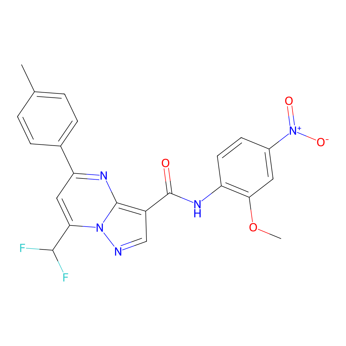 7-(difluoromethyl)-N-(2-methoxy-4-nitrophenyl)-5-(4-methylphenyl)pyrazolo[1,5-a]pyrimidine-3-carboxamide molecular structure, CAS 515873-41-3