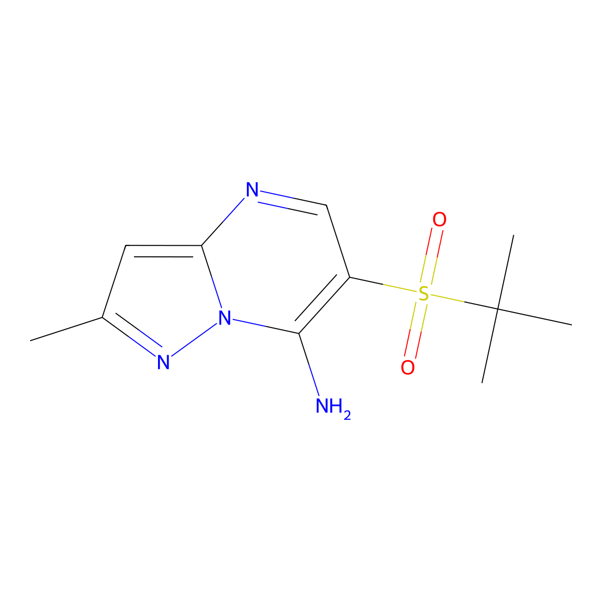 6-(Tert-butylsulfonyl)-2-methylpyrazolo[1,5-a]pyrimidin-7-amine molecular structure, CAS 519056-49-6