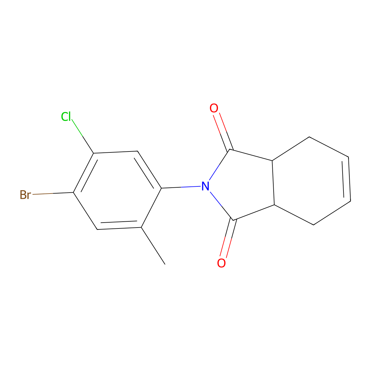 2-(4-Bromo-5-chloro-2-methylphenyl)-3a,4,7,7a-tetrahydroisoindole-1,3-dione molecular structure, CAS 519169-68-7