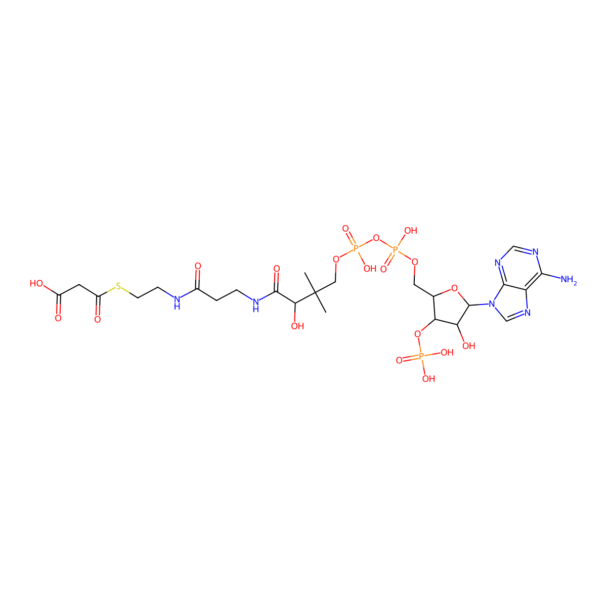 Malonyl CoA molecular structure, CAS 524-14-1