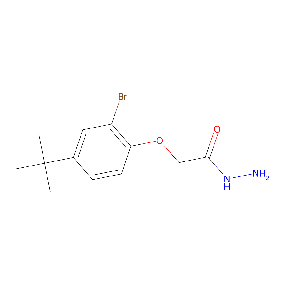 2-(2-Bromo-4-tert-butylphenoxy)acetohydrazide molecular structure, CAS 52570-06-6