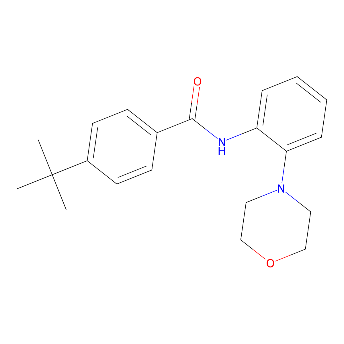 4-tert-butyl-N-(2-morpholin-4-ylphenyl)benzamide molecular structure, CAS 528889-15-8