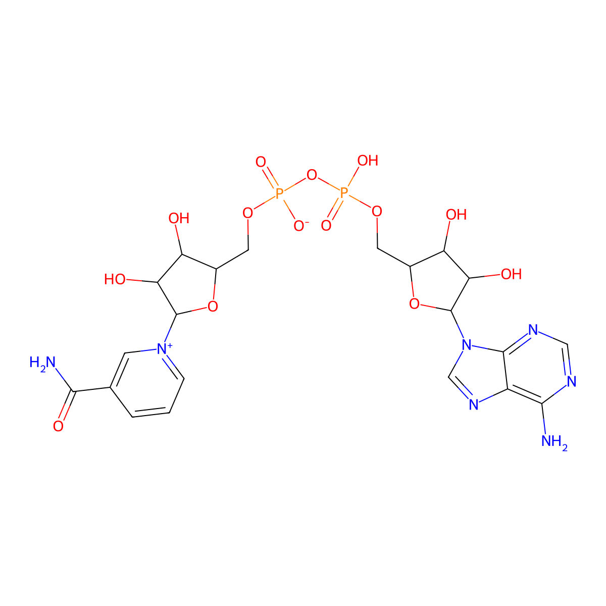 Nadide molecular structure, CAS 53-84-9