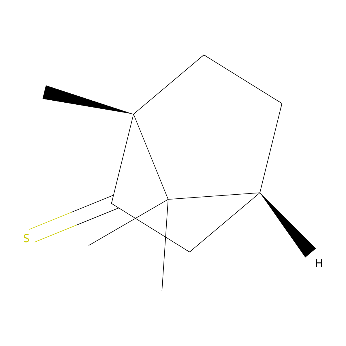 (1R)-(-)-Thiocamphor molecular structure, CAS 53402-10-1