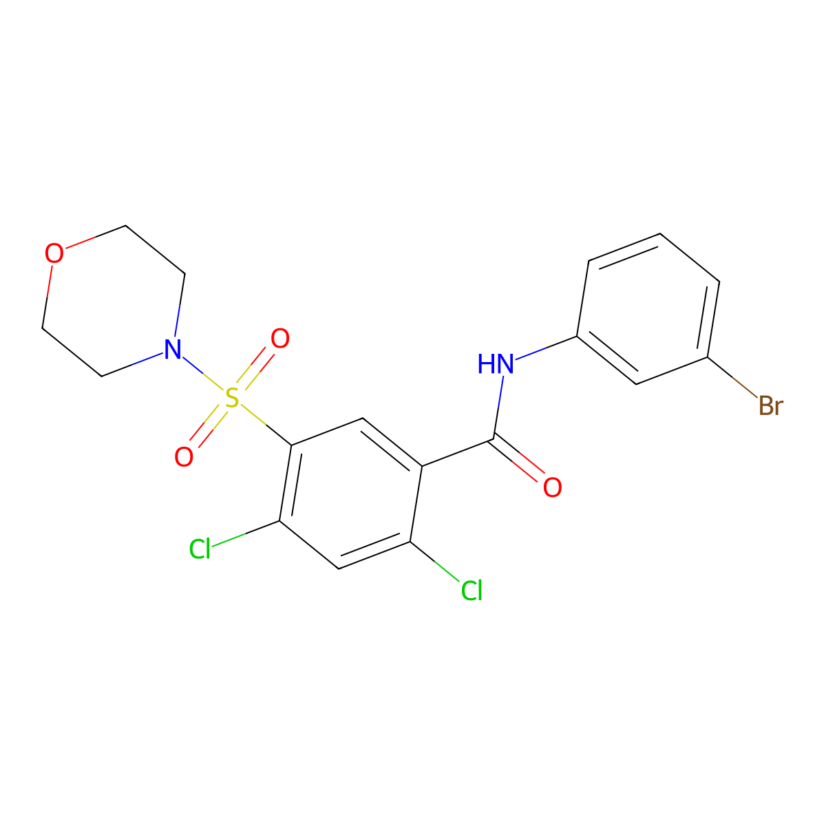 N-(3-bromophenyl)-2,4-dichloro-5-morpholin-4-ylsulfonylbenzamide molecular structure, CAS 5346-88-3