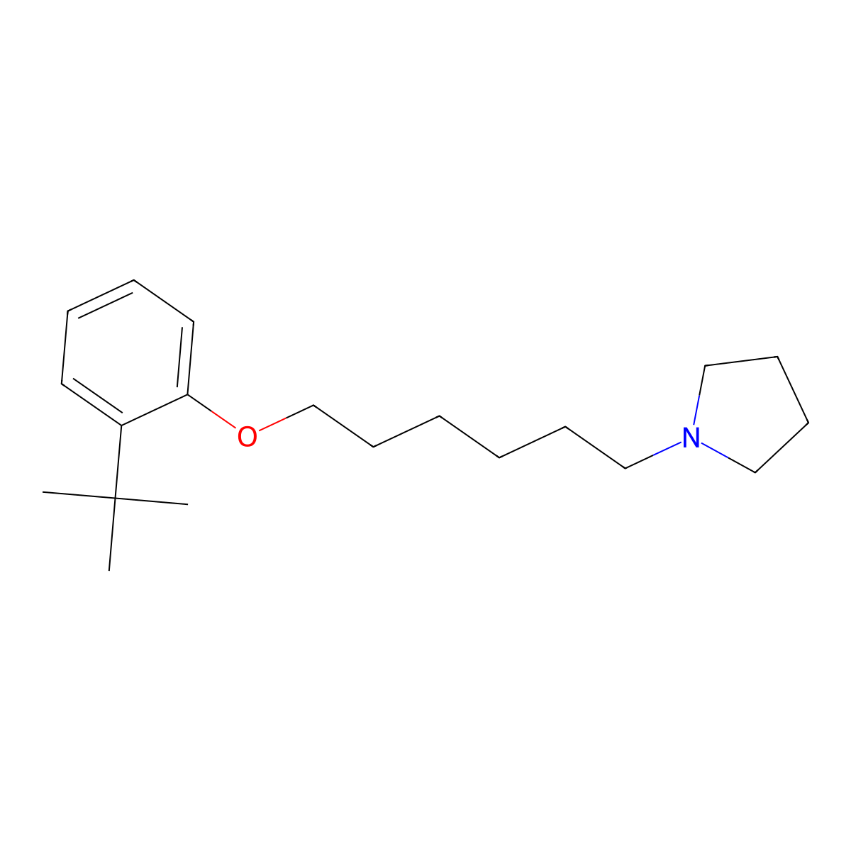 1-[6-(2-Tert-butylphenoxy)hexyl]pyrrolidine molecular structure, CAS 5359-81-9