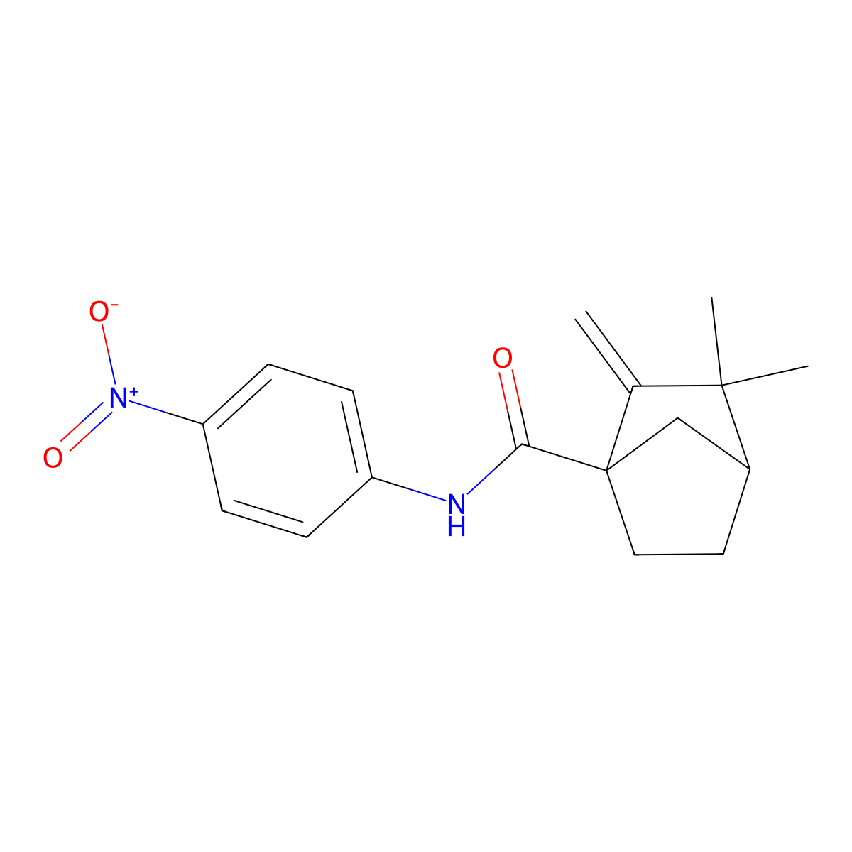 2,2-dimethyl-3-methylidene-N-(4-nitrophenyl)bicyclo[2.2.1]heptane-4-carboxamide molecular structure, CAS 539808-09-8
