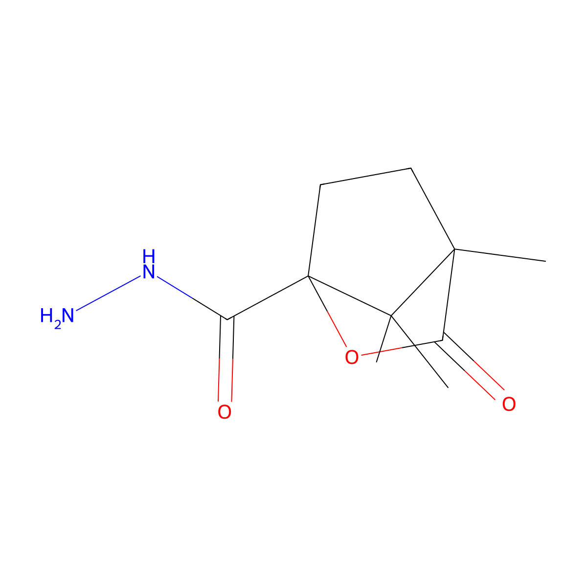 (1S,4S)-4,7,7-trimethyl-3-oxo-2-oxabicyclo[2.2.1]heptane-1-carbohydrazide molecular structure, CAS 539858-02-1