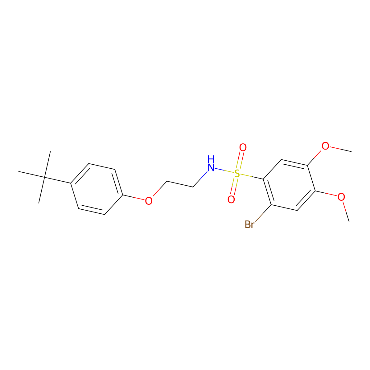 2-bromo-N-[2-(4-tert-butylphenoxy)ethyl]-4,5-dimethoxybenzenesulfonamide molecular structure, CAS 540514-35-0