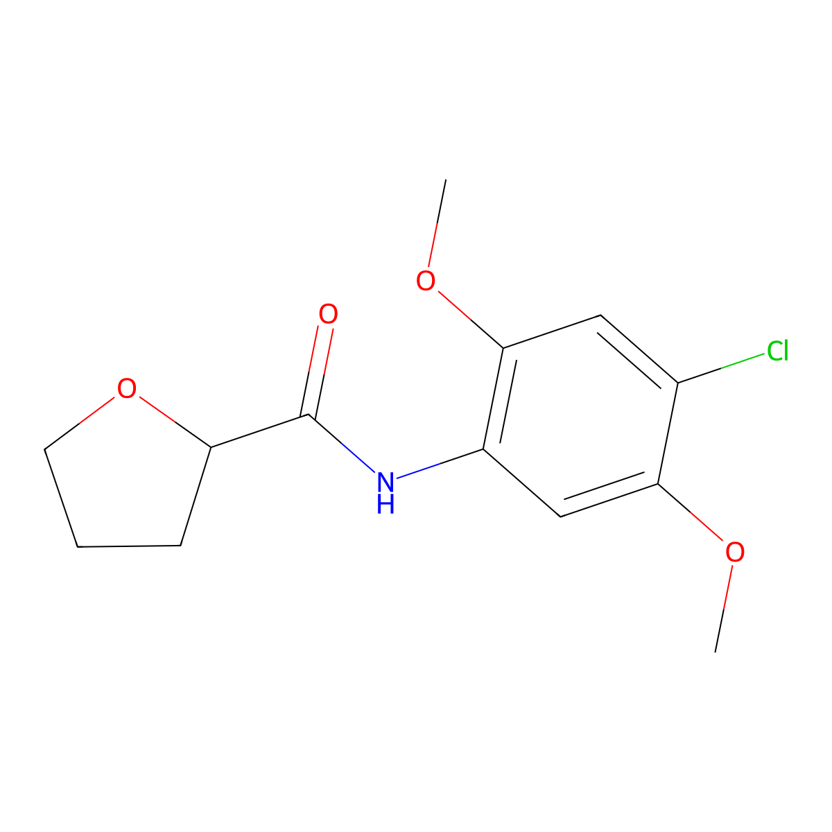 N-(4-chloro-2,5-dimethoxyphenyl)oxolane-2-carboxamide molecular structure, CAS 541519-86-2