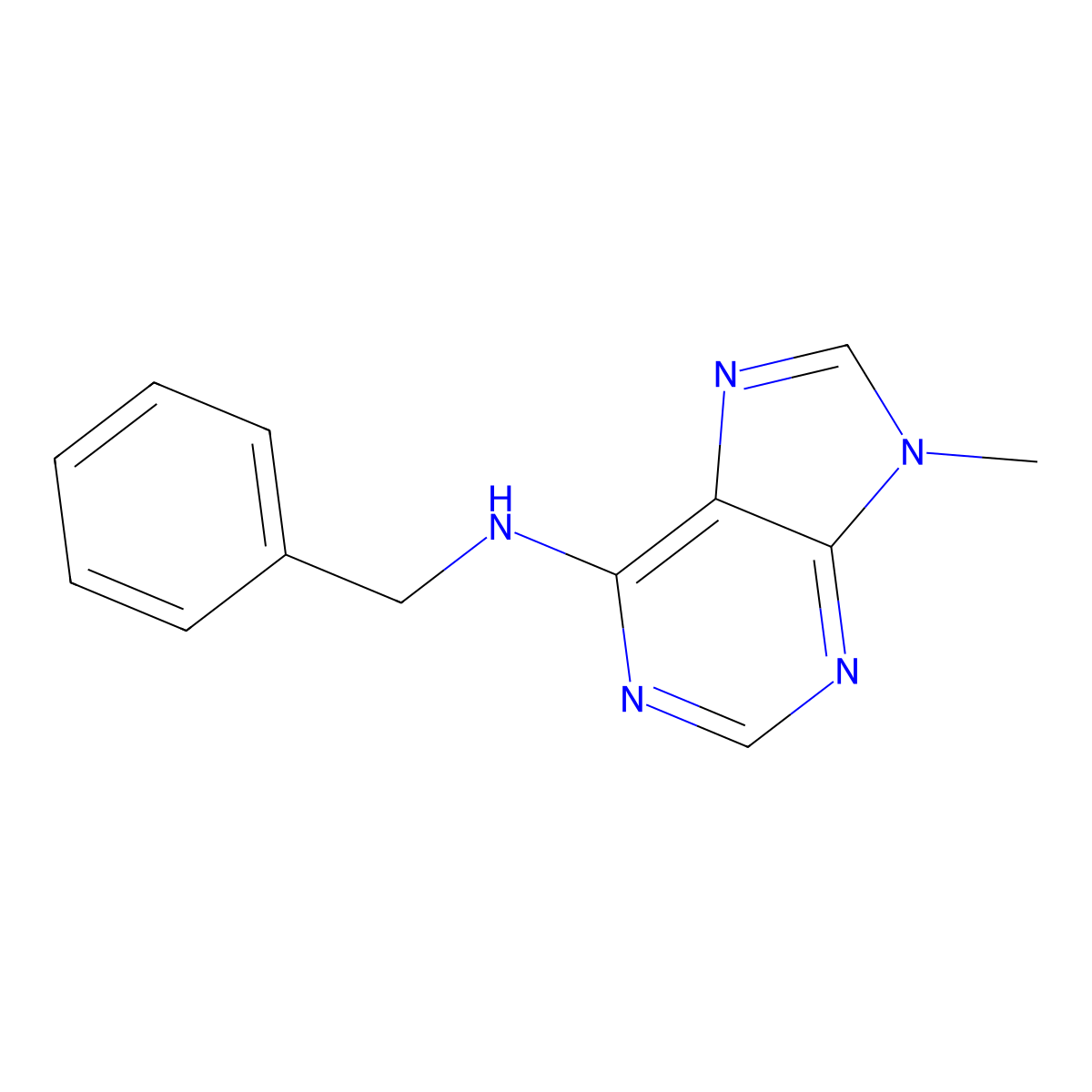 N-benzyl-9-methyl-9H-purin-6-amine molecular structure, CAS 5440-16-4