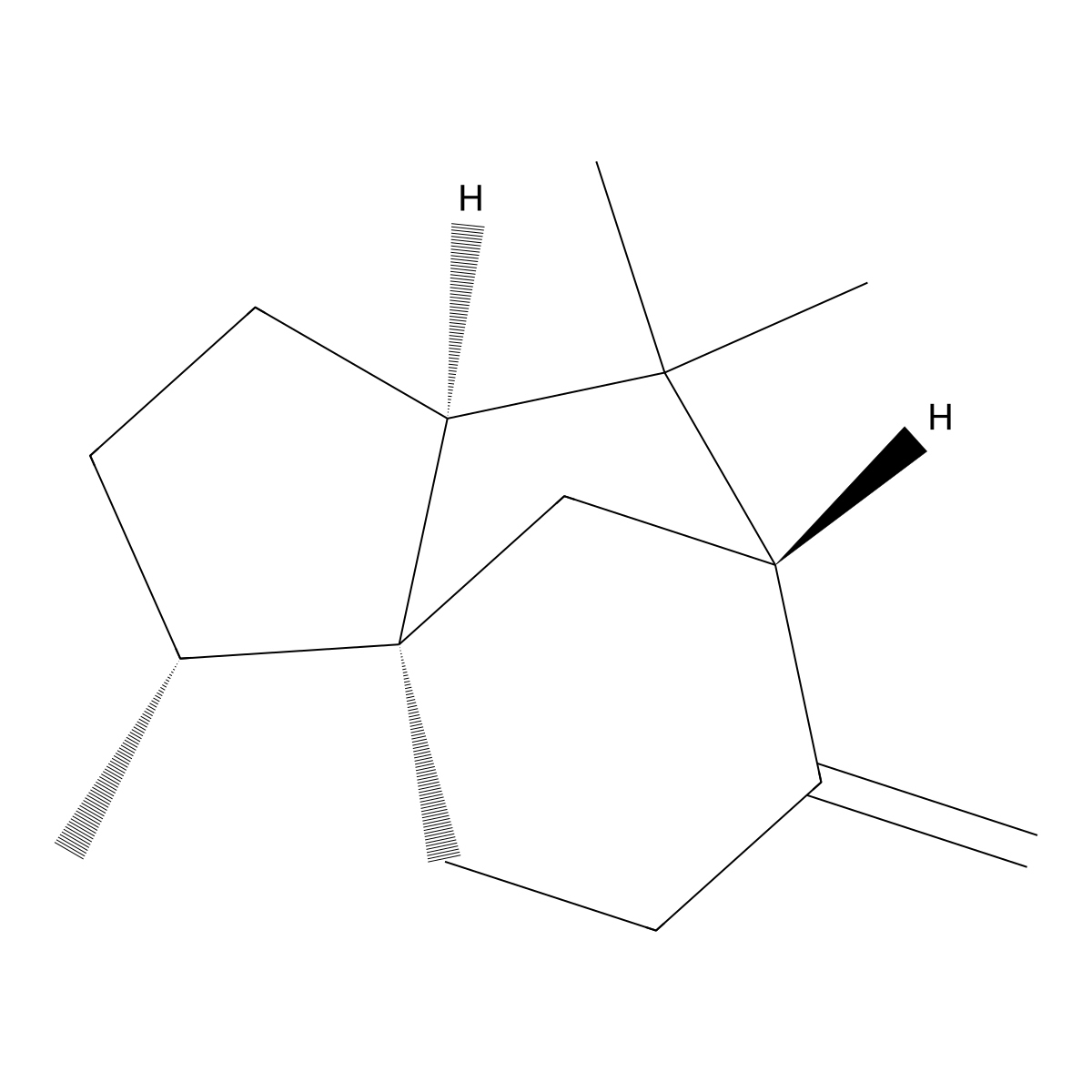 (+)-beta-Cedrene molecular structure, CAS 546-28-1