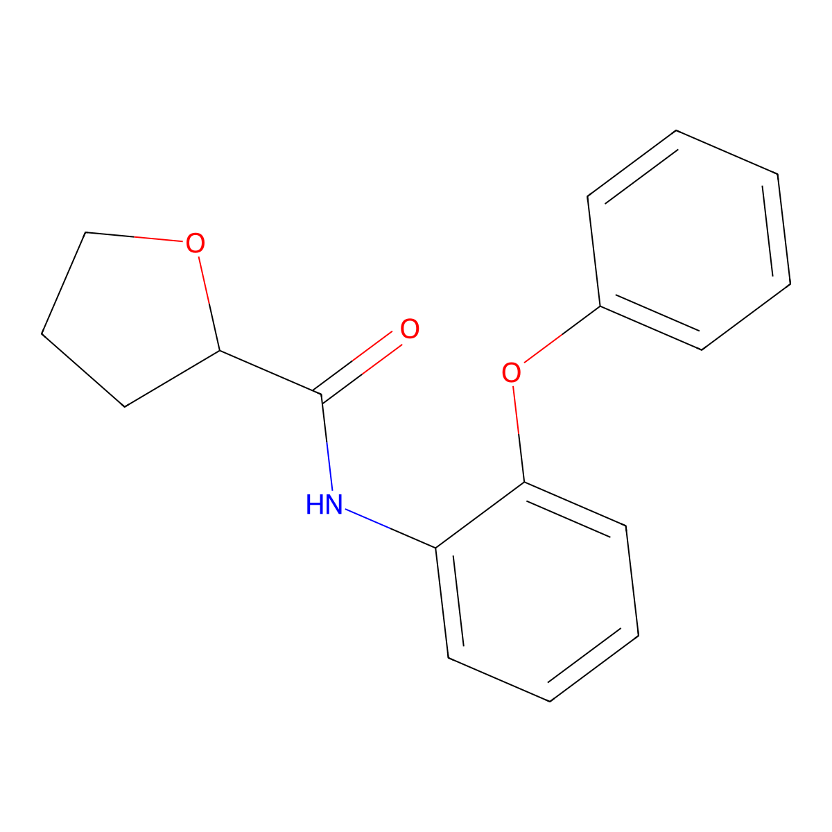 N-(2-phenoxyphenyl)oxolane-2-carboxamide molecular structure, CAS 546100-25-8
