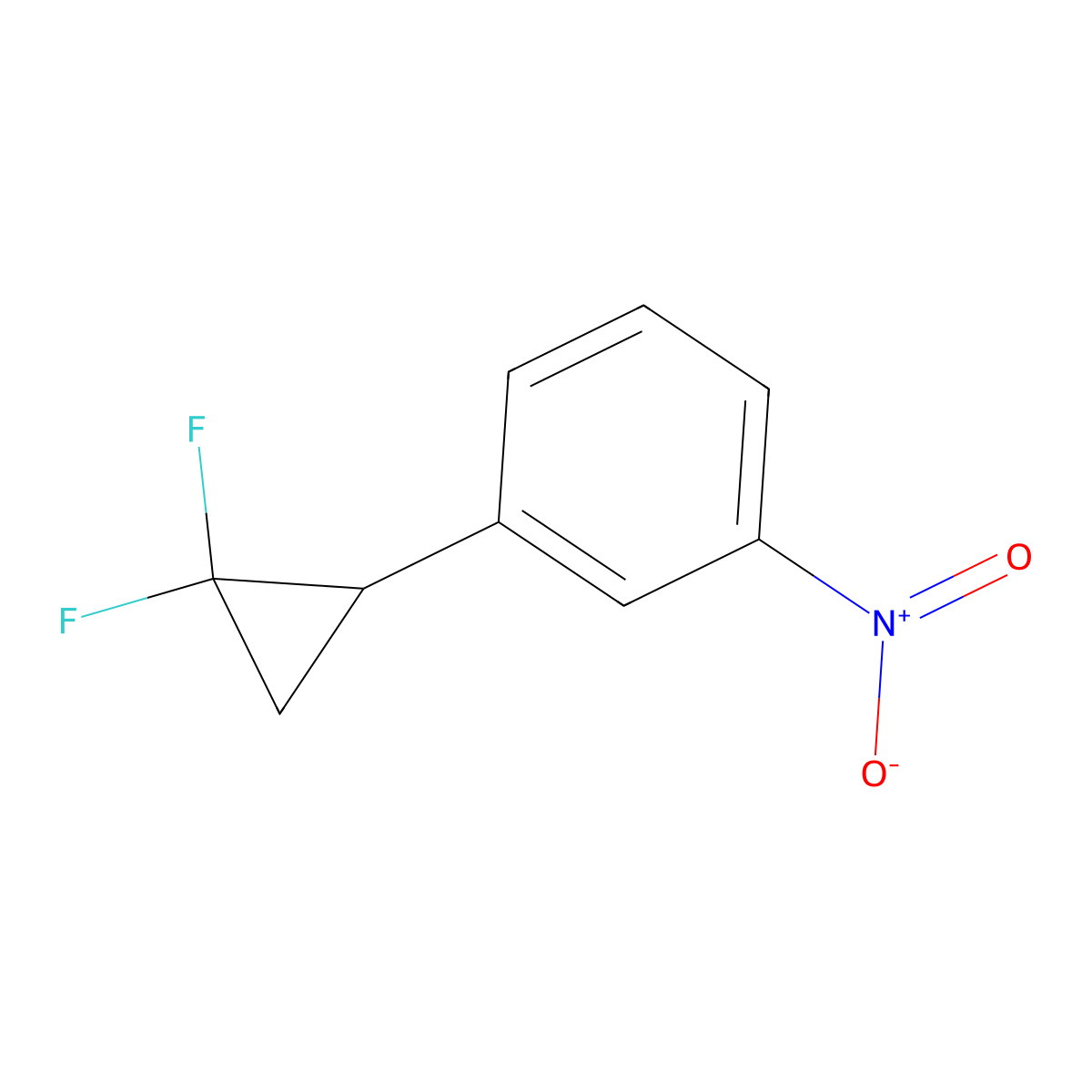 1-(2,2-Difluorocyclopropyl)-3-nitrobenzene molecular structure, CAS 54672-46-7