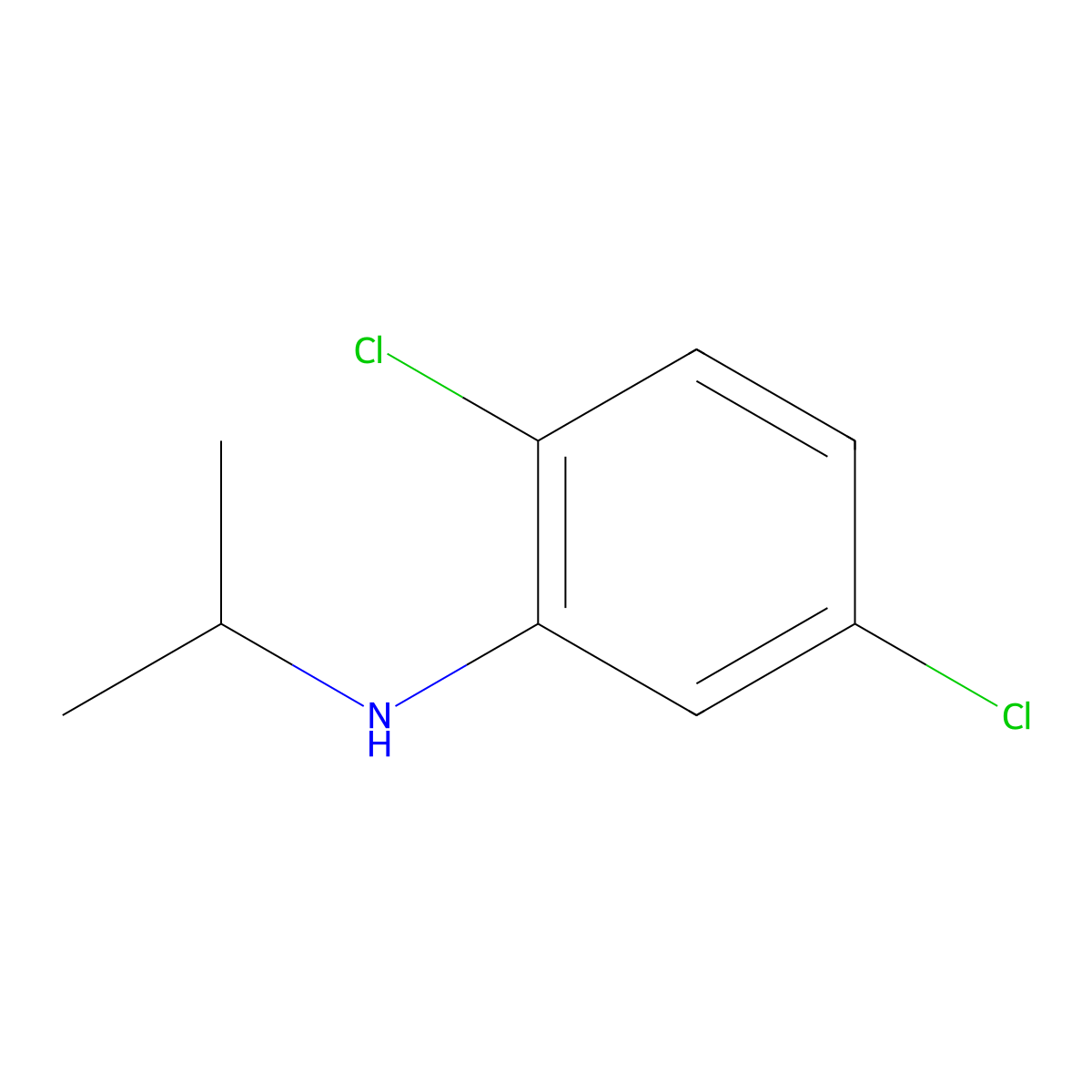 2,5-dichloro-N-(propan-2-yl)aniline molecular structure, CAS 54962-85-5