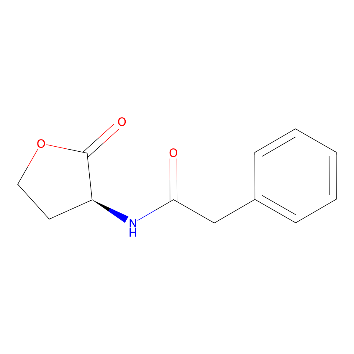 N-phenylacetyl-L-Homoserine lactone molecular structure, CAS 55154-48-8