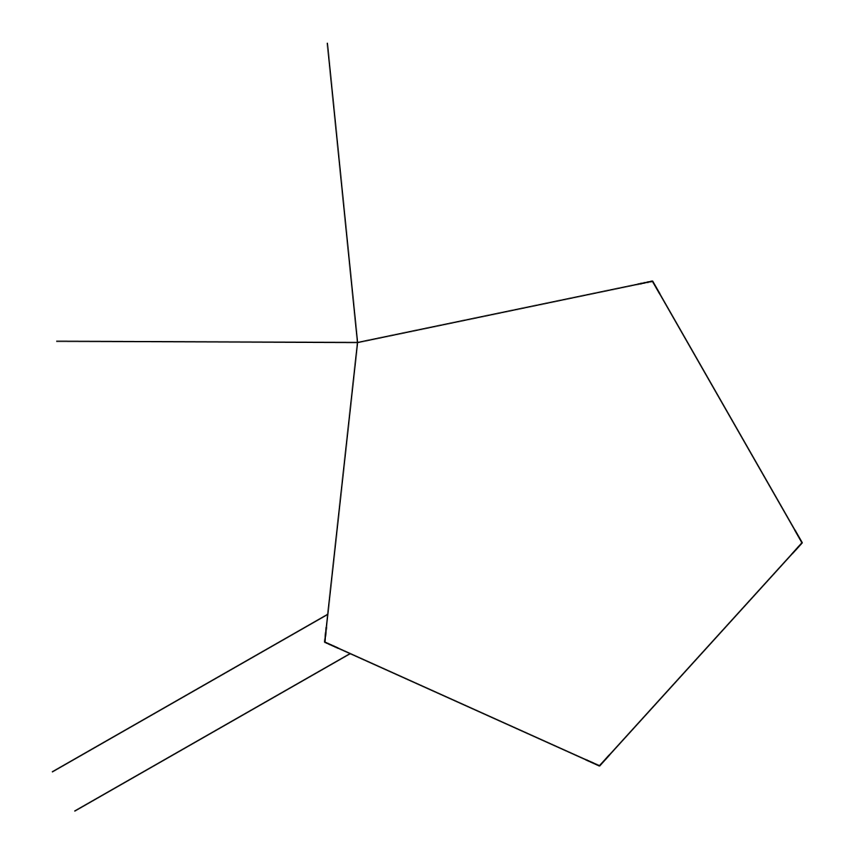 1,1-Dimethyl-2-methylidenecyclopentane molecular structure, CAS 55337-82-1