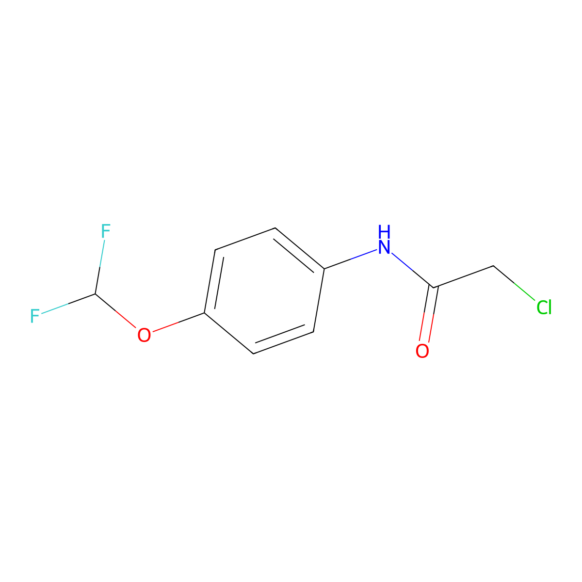 2-chloro-N-[4-(difluoromethoxy)phenyl]acetamide molecular structure, CAS 554440-01-6