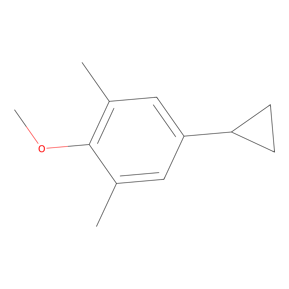 5-Cyclopropyl-2-methoxy-1,3-dimethylbenzene molecular structure, CAS 55469-34-6