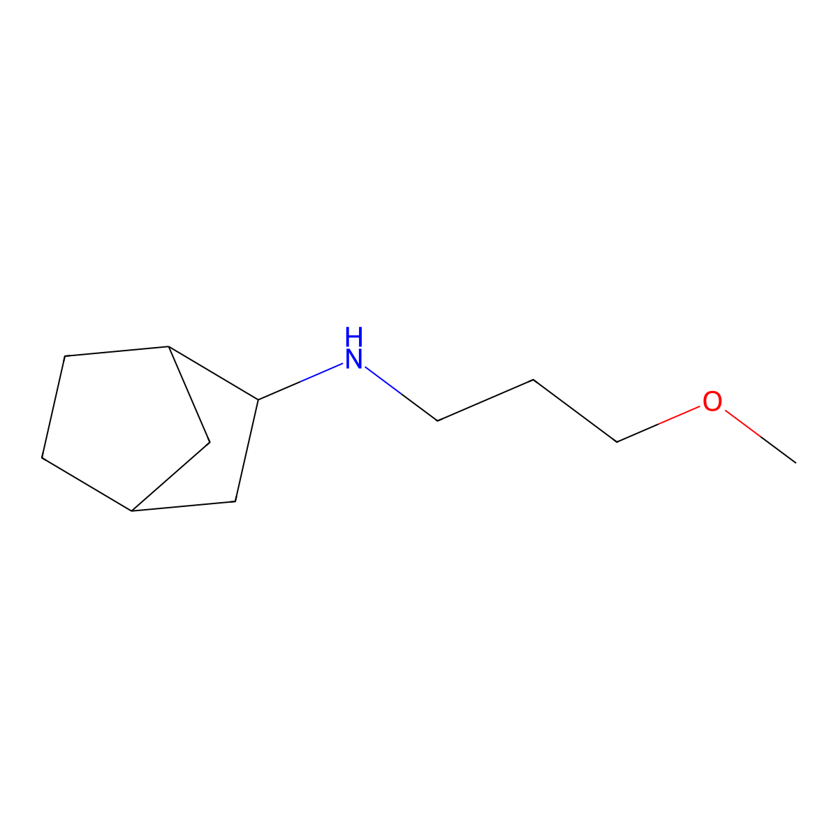 N-(3-Methoxypropyl)bicyclo[2.2.1]heptan-2-amine molecular structure, CAS 55611-80-8