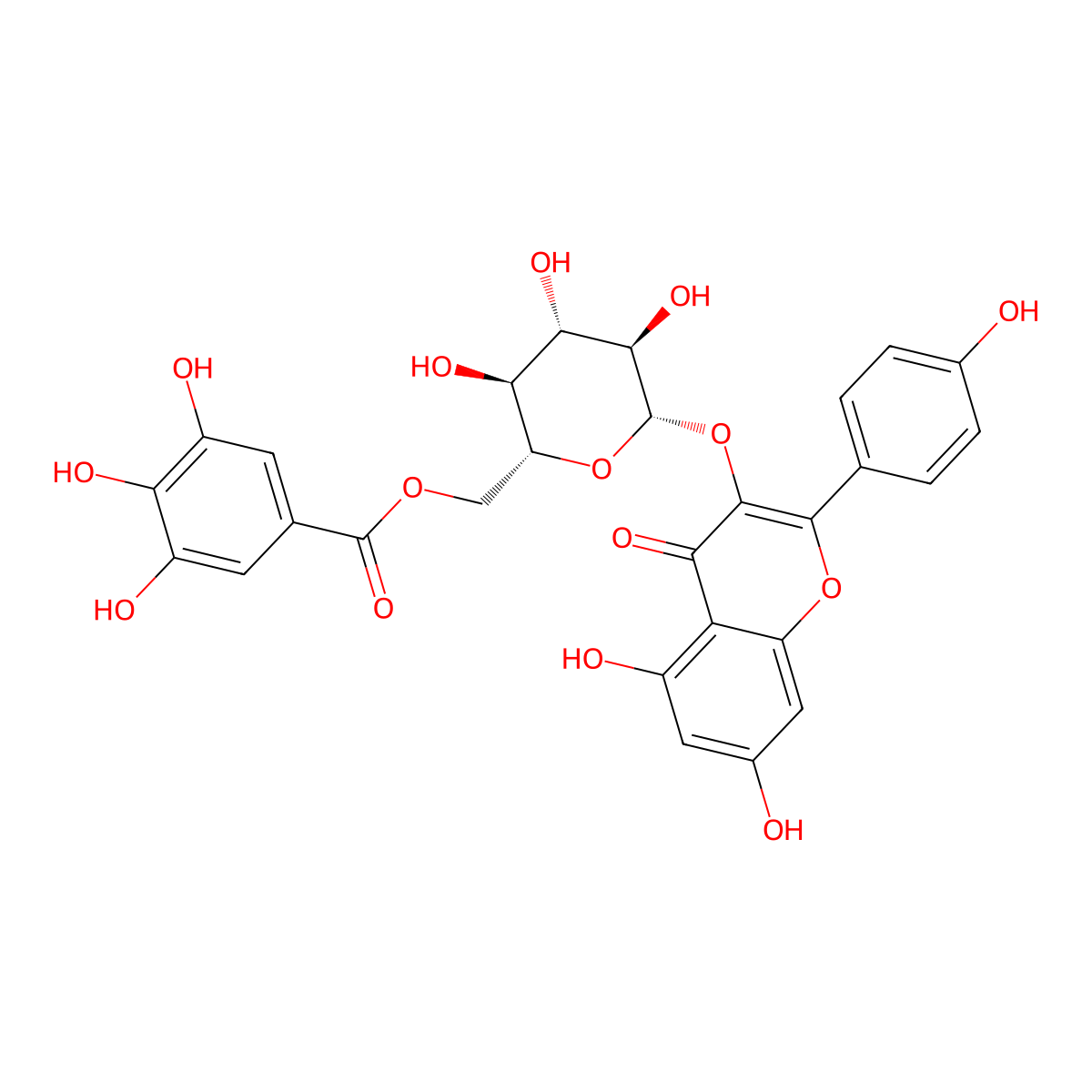 Astragalin 6''-gallate molecular structure, CAS 56317-05-6