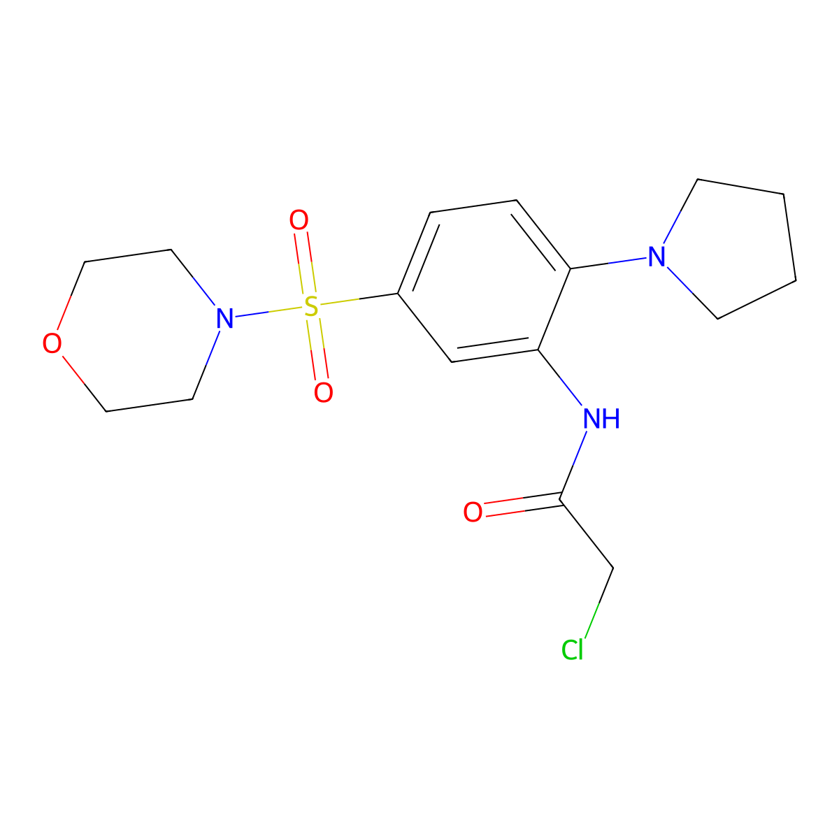 2-Chloro-N-(5-(morpholinosulfonyl)-2-(pyrrolidin-1-yl)phenyl)acetamide molecular structure, CAS 565192-30-5