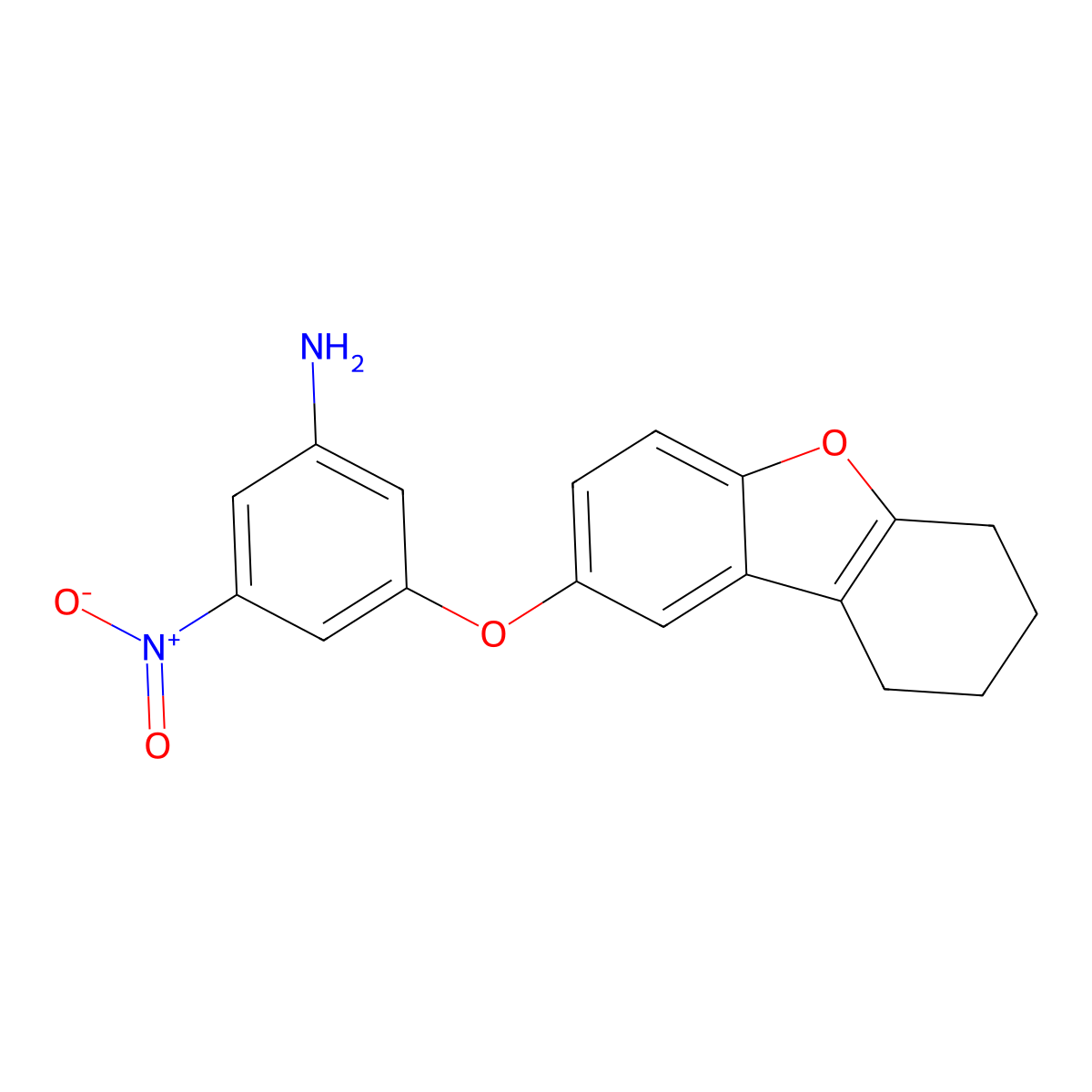 3-Nitro-5-(6,7,8,9-tetrahydrodibenzofuran-2-yloxy)aniline molecular structure, CAS 5671-16-9