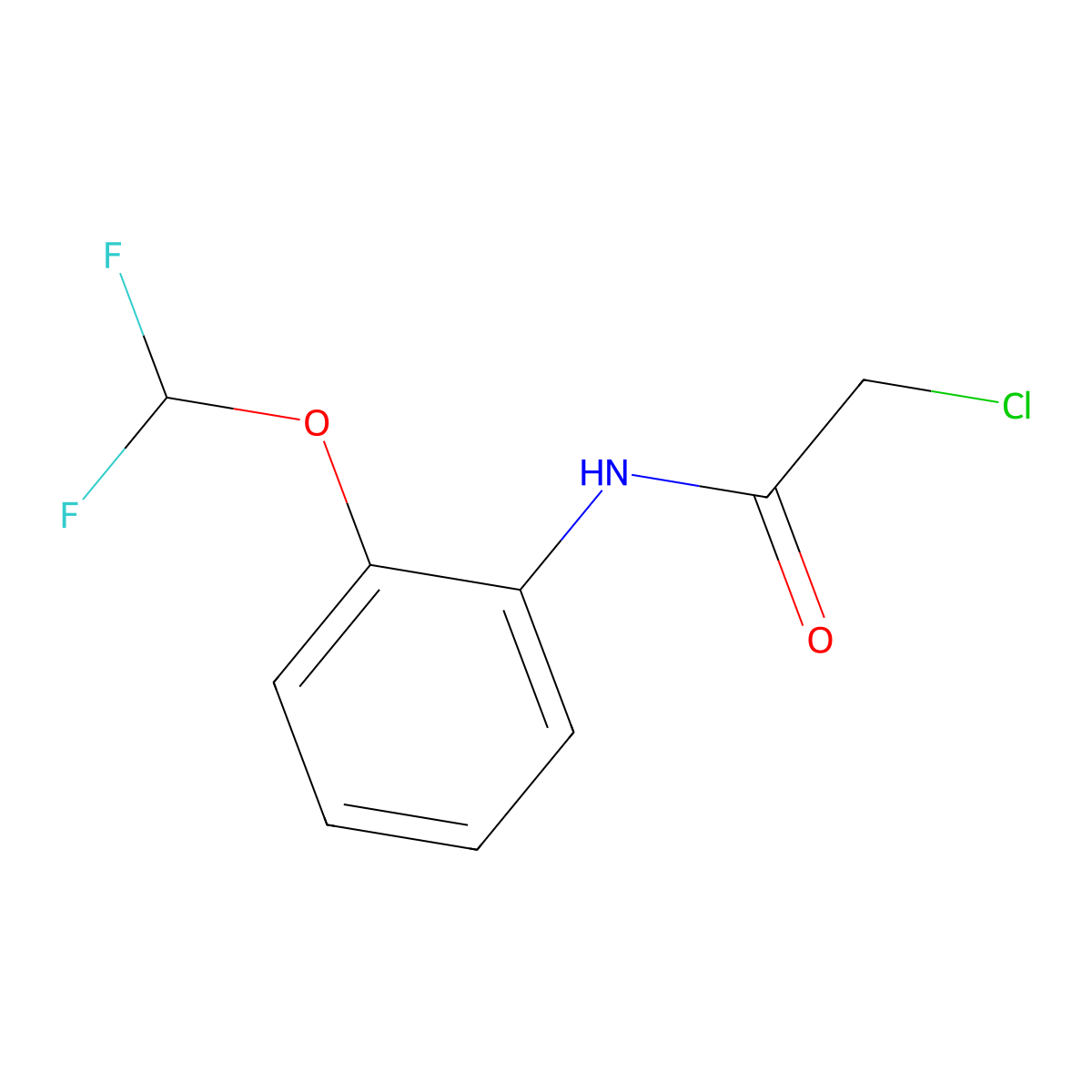 2-chloro-N-(2-(difluoromethoxy)phenyl)acetamide molecular structure, CAS 568567-38-4