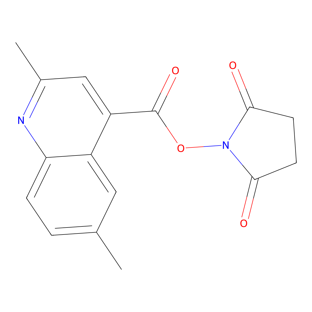 2,6-Dimethyl-4-quinolinecarboxylic acid N-hydroxysuccinimide ester molecular structure, CAS 569355-30-2