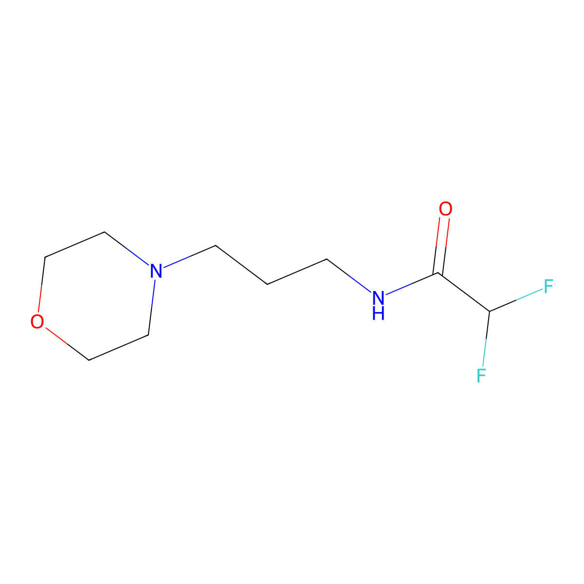 2,2-Difluoro-N-(3-morpholinopropyl)acetamide molecular structure, CAS 570421-59-9