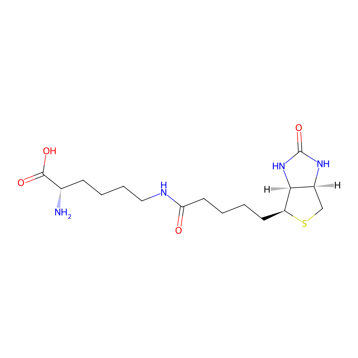 Biocytin molecular structure, CAS 576-19-2