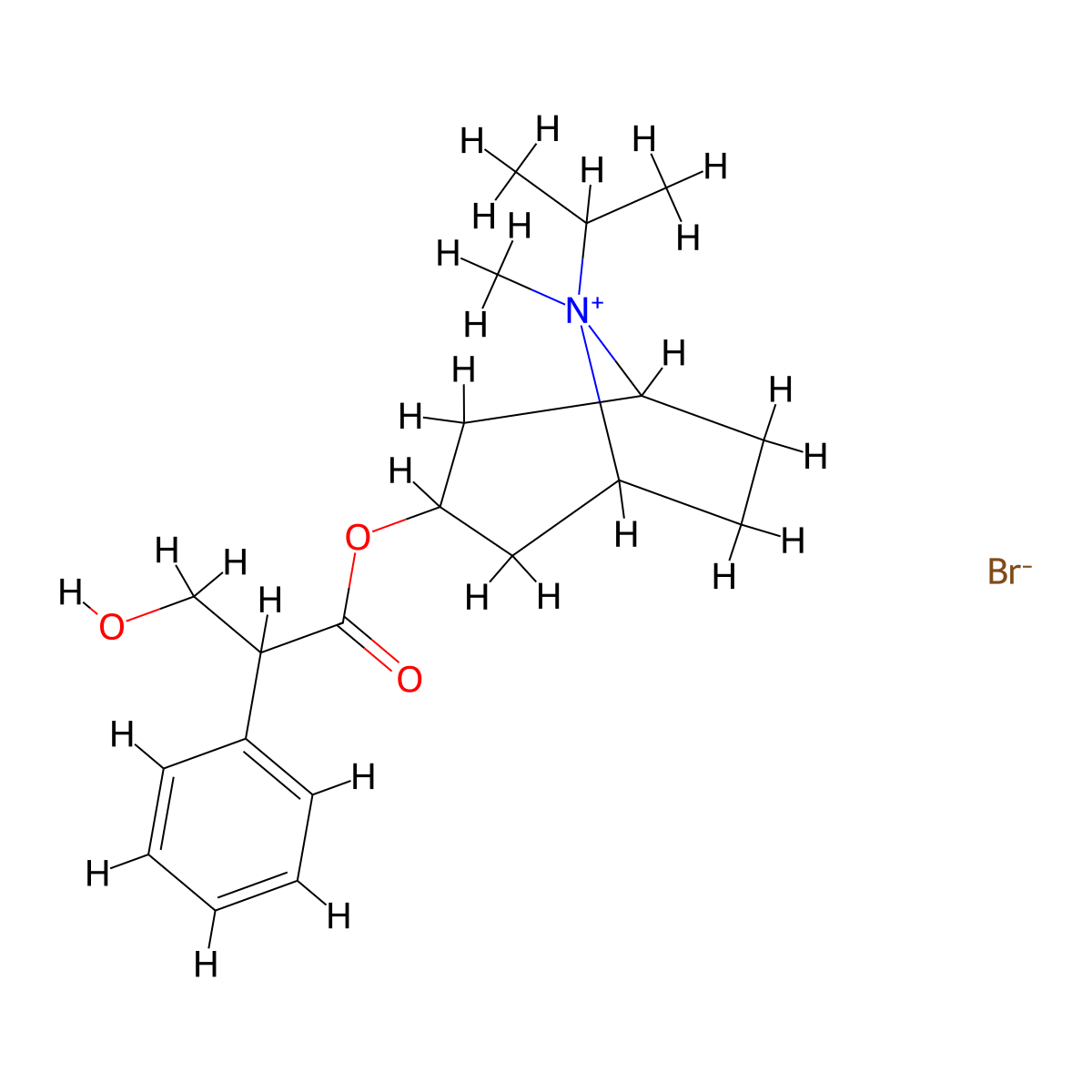 Ipratropii bromidum molecular structure, CAS 58073-59-9