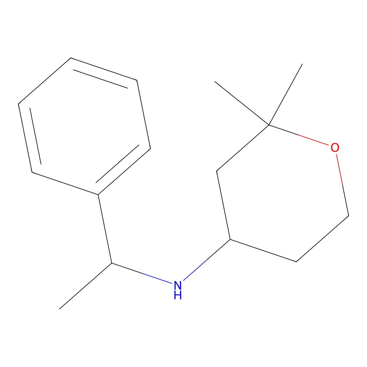2,2-dimethyl-N-(1-phenylethyl)tetrahydro-2H-pyran-4-amine molecular structure, CAS 585562-39-6