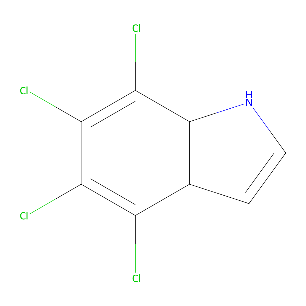 4,5,6,7-Tetrachloro-1h-indole molecular structure, CAS 58732-25-5