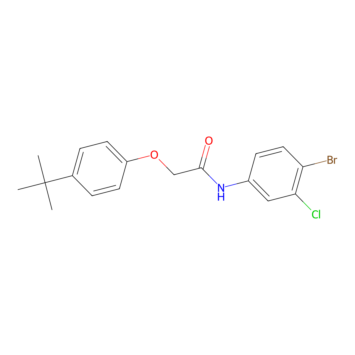 N-(4-bromo-3-chlorophenyl)-2-(4-tert-butylphenoxy)acetamide molecular structure, CAS 590380-52-2
