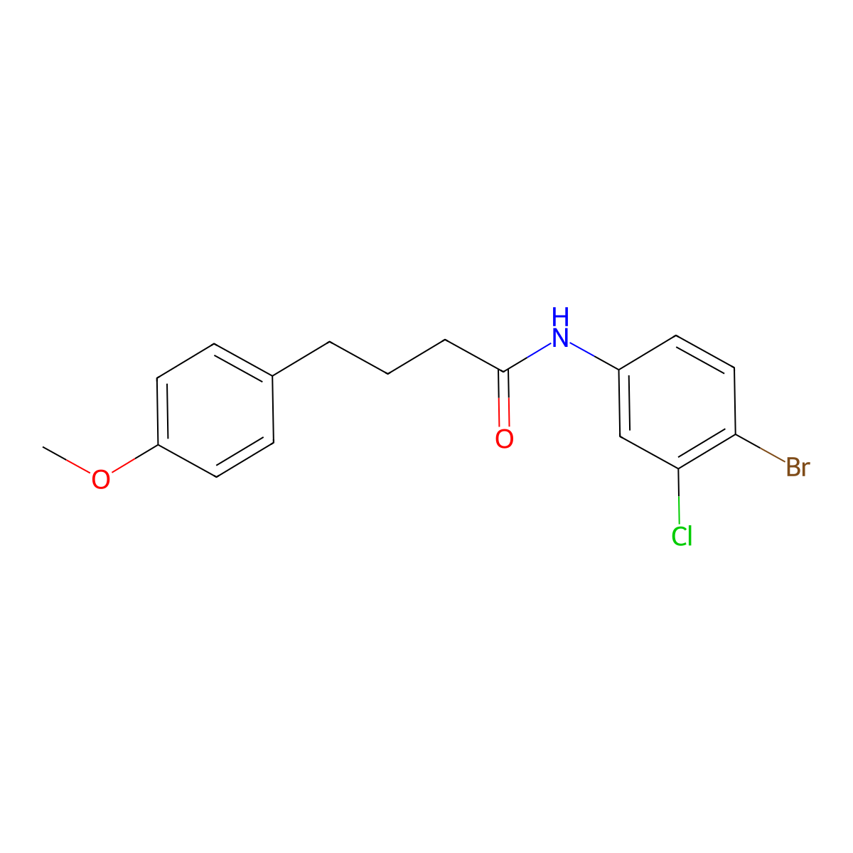 N-(4-bromo-3-chlorophenyl)-4-(4-methoxyphenyl)butanamide molecular structure, CAS 591225-56-8
