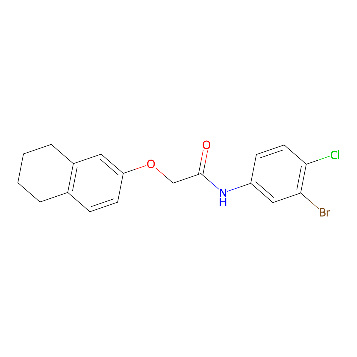 N-(3-bromo-4-chlorophenyl)-2-(5,6,7,8-tetrahydronaphthalen-2-yloxy)acetamide molecular structure, CAS 591226-50-5