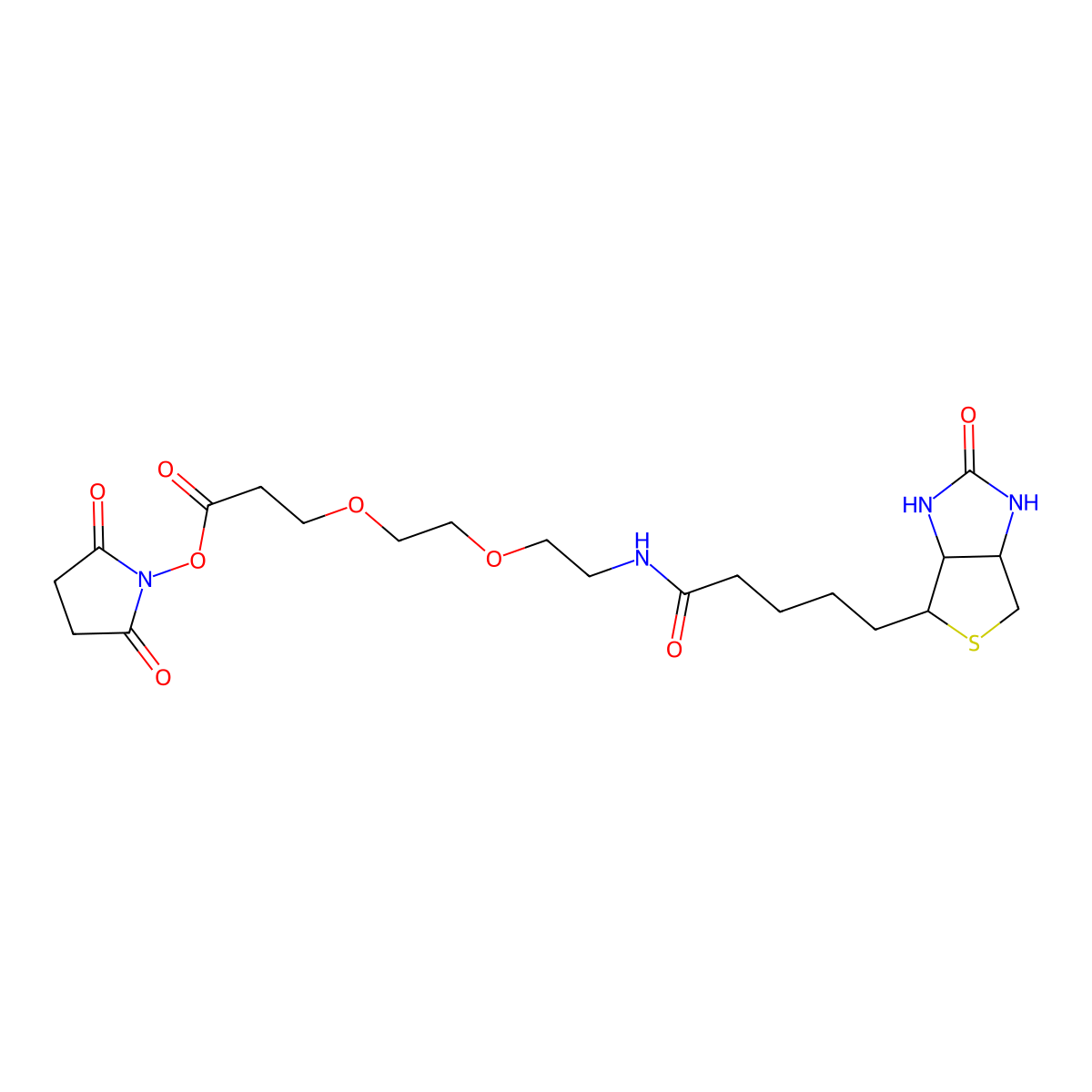 Biotin-PEG2-NHS ester molecular structure, CAS 596820-83-6
