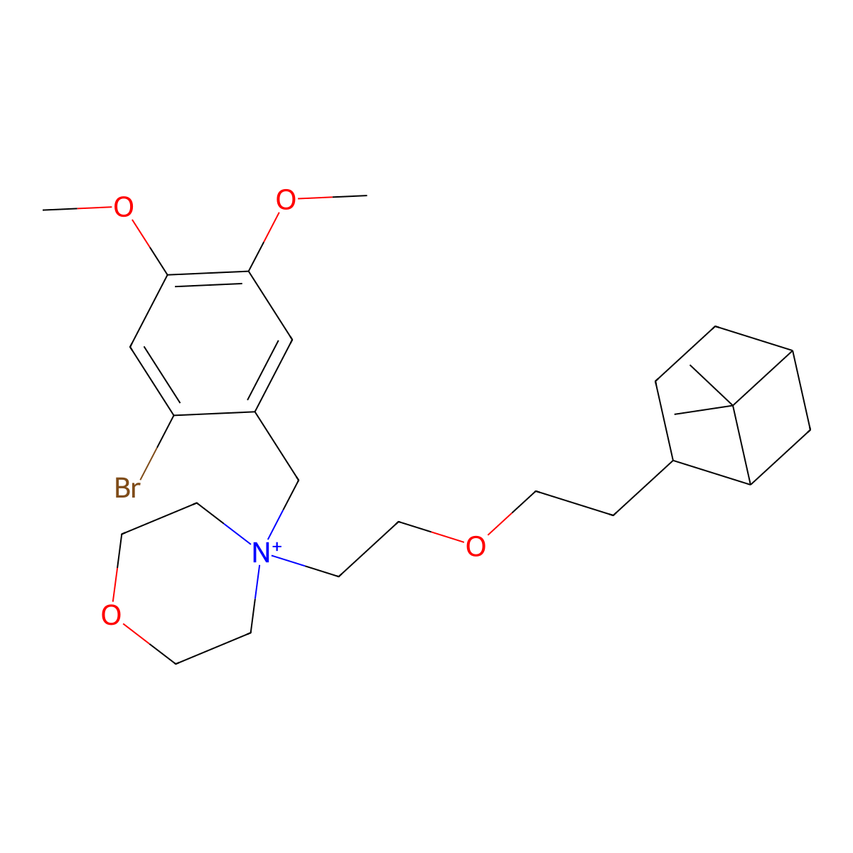 Pinaverium molecular structure, CAS 59995-65-2
