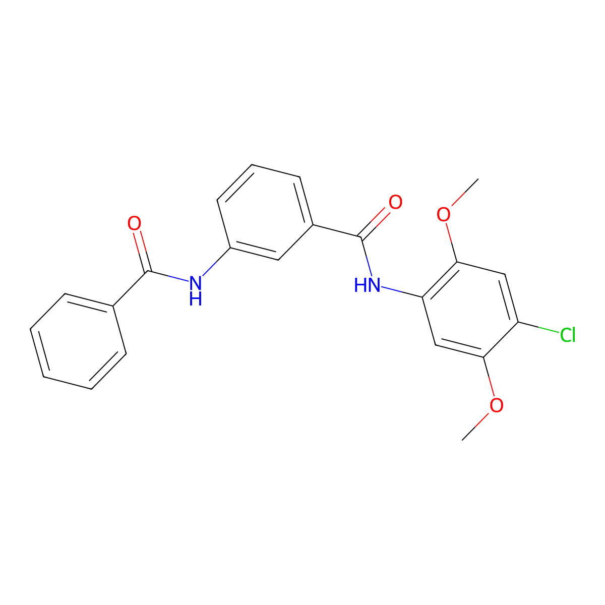 3-benzamido-N-(4-chloro-2,5-dimethoxyphenyl)benzamide molecular structure, CAS 600125-73-3