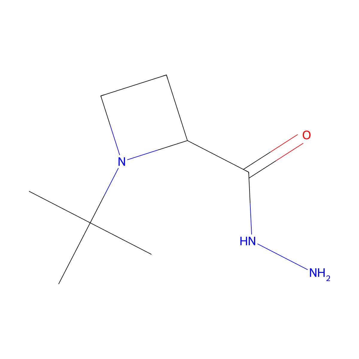 1-Tert-butylazetidine-2-carbohydrazide molecular structure, CAS 60169-34-8