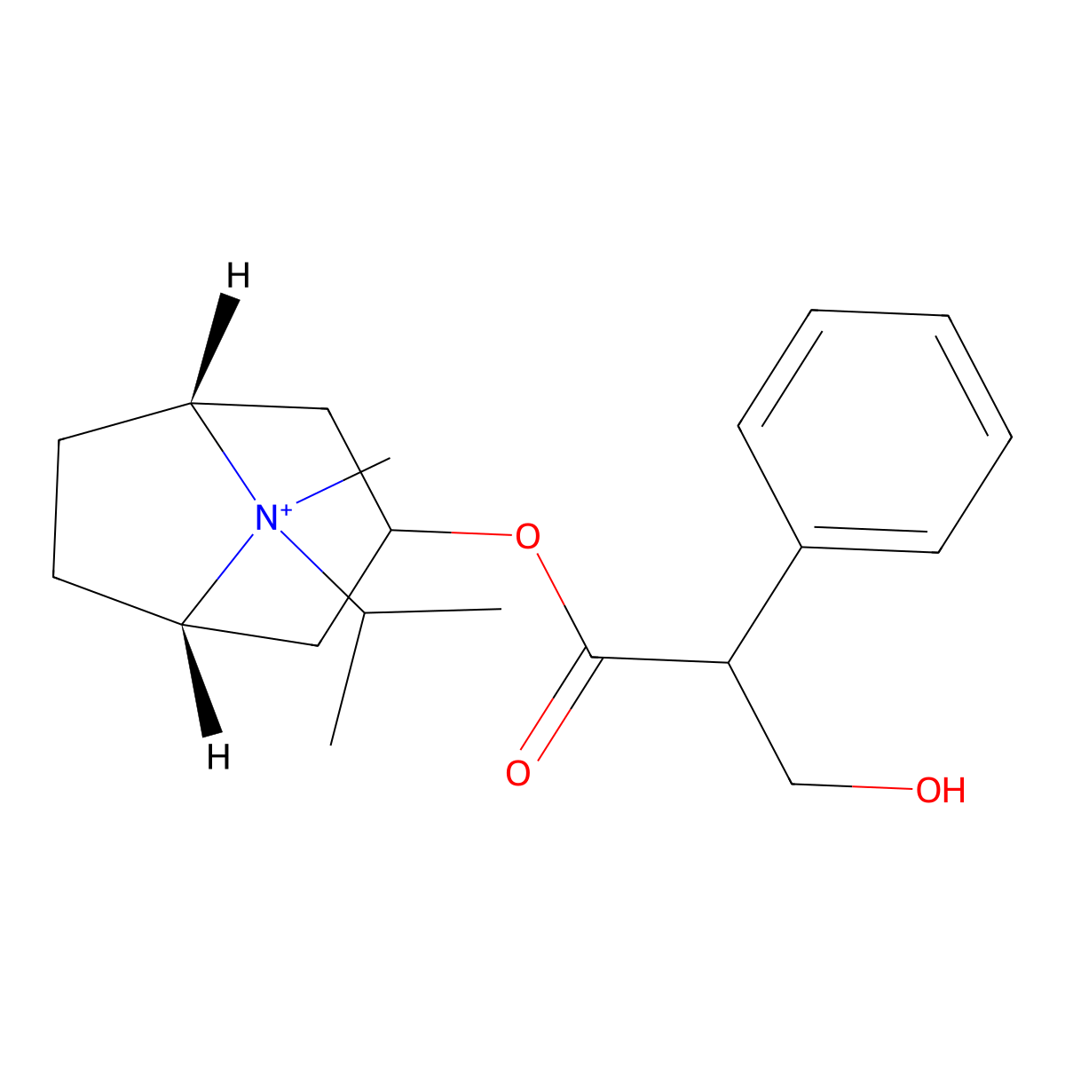 Ipratropium molecular structure, CAS 60205-81-4