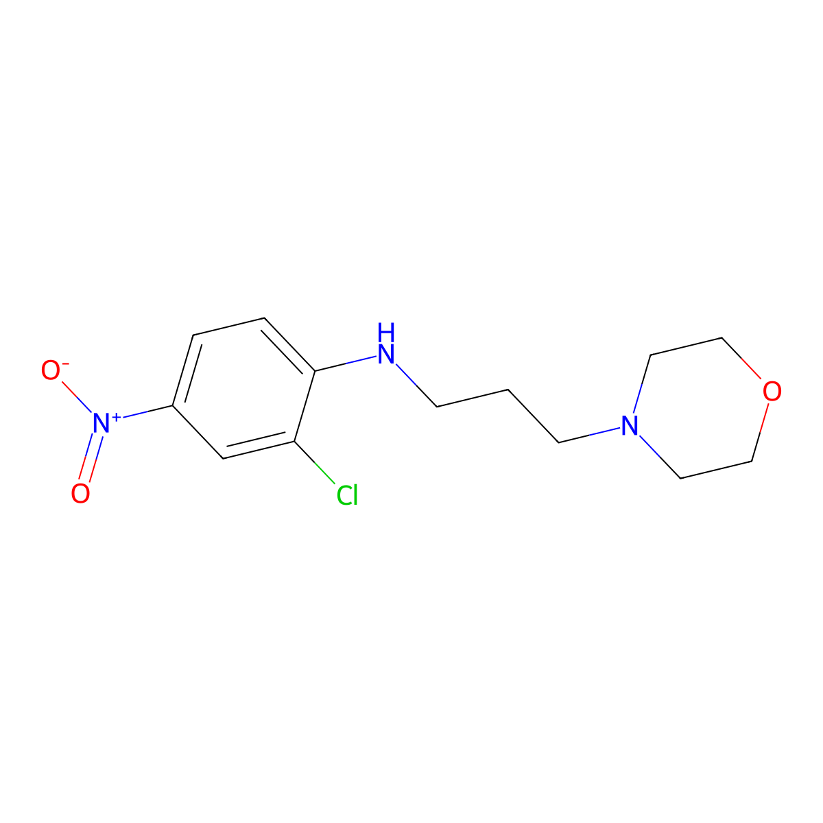 (2-Chloro-4-nitrophenyl)(3-morpholin-4-ylpropyl)amine molecular structure, CAS 60467-38-1