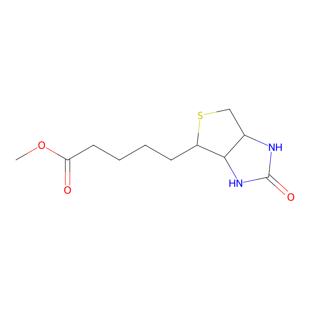 Biotin methyl ester molecular structure, CAS 608-16-2