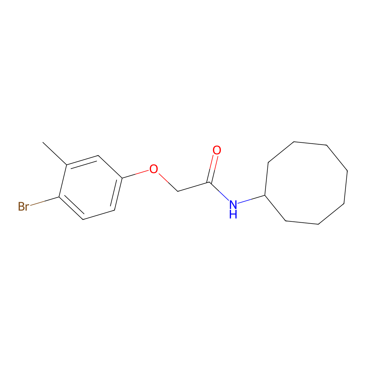 2-(4-bromo-3-methylphenoxy)-N-cyclooctylacetamide molecular structure, CAS 6088-31-9
