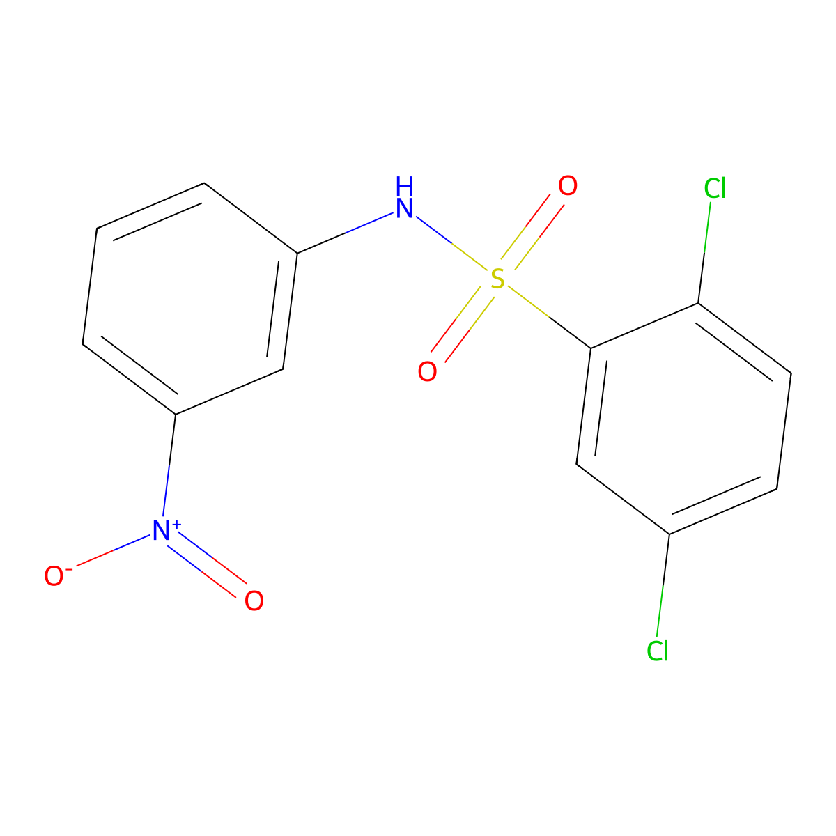 2,5-dichloro-N-(3-nitrophenyl)benzenesulfonamide molecular structure, CAS 61072-86-4