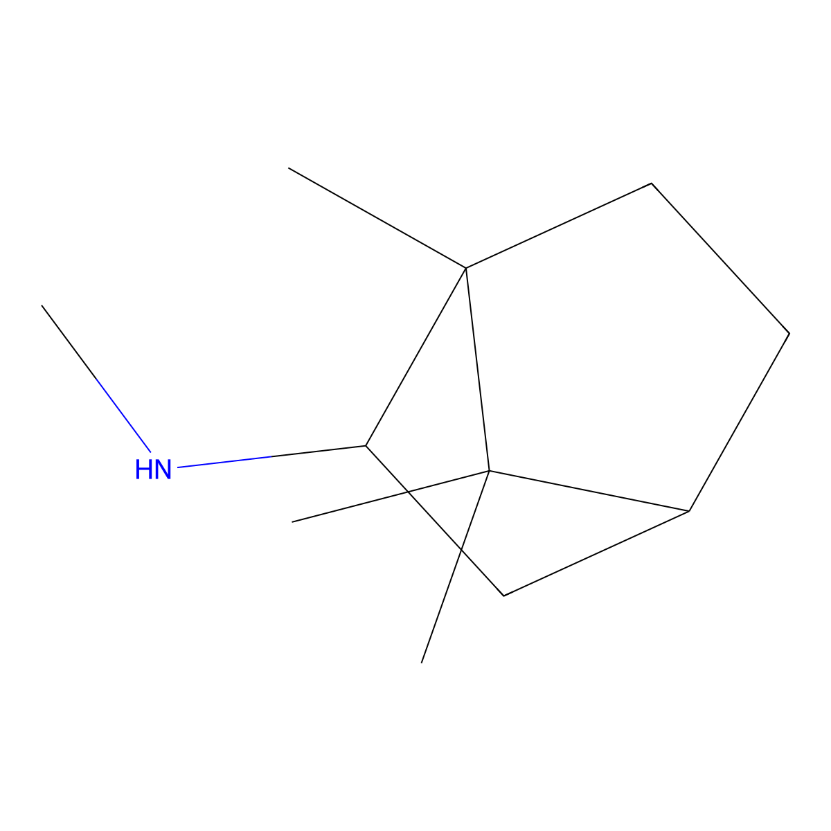 N,1,7,7-Tetramethylbicyclo[2.2.1]heptan-2-amine molecular structure, CAS 61248-25-7
