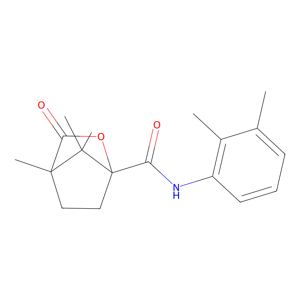 N-(2,3-dimethylphenyl)-4,7,7-trimethyl-3-oxo-2-oxabicyclo[2.2.1]heptane-1-carboxamide molecular structure, CAS 613658-70-1